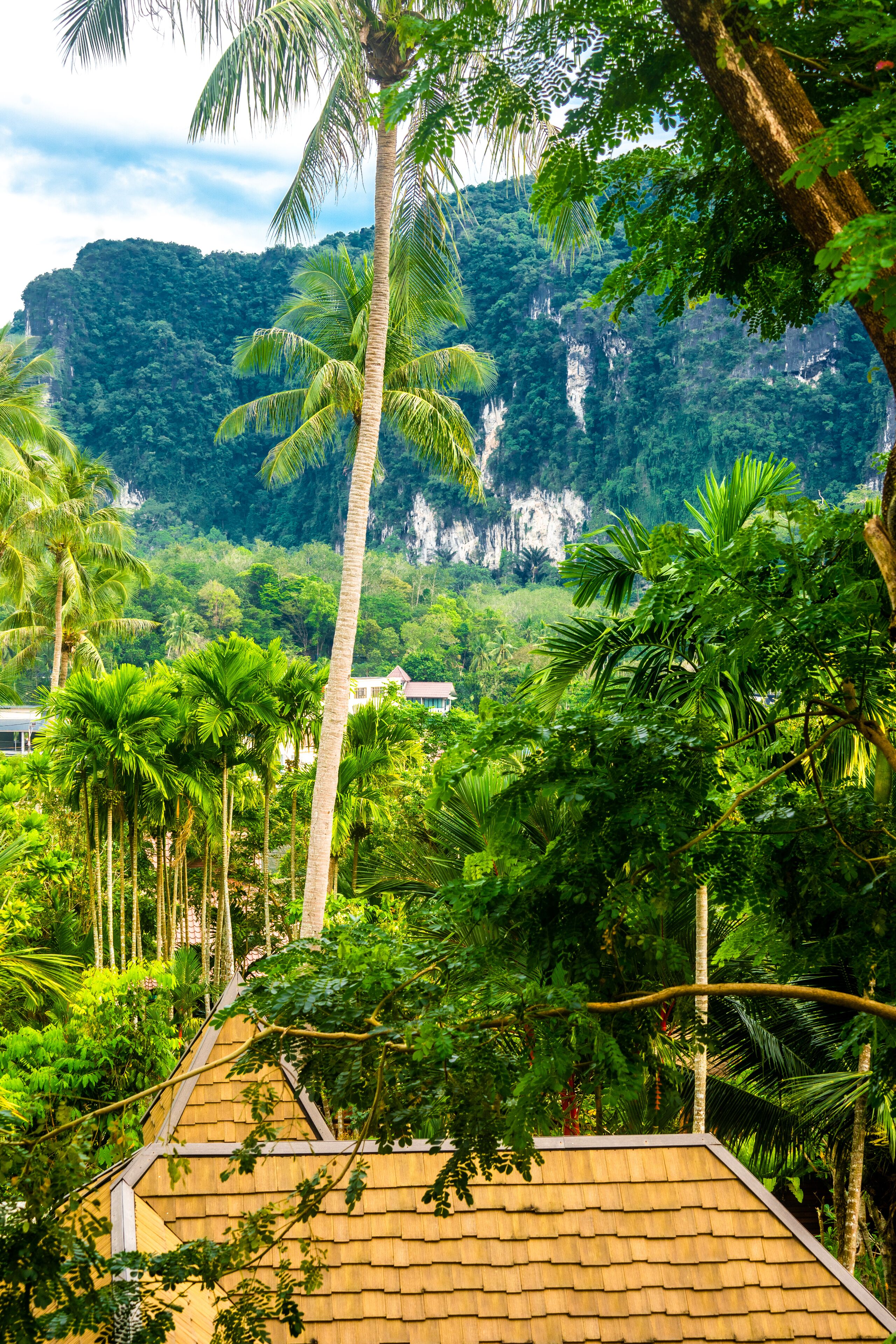 deluxe mountain view | view from room