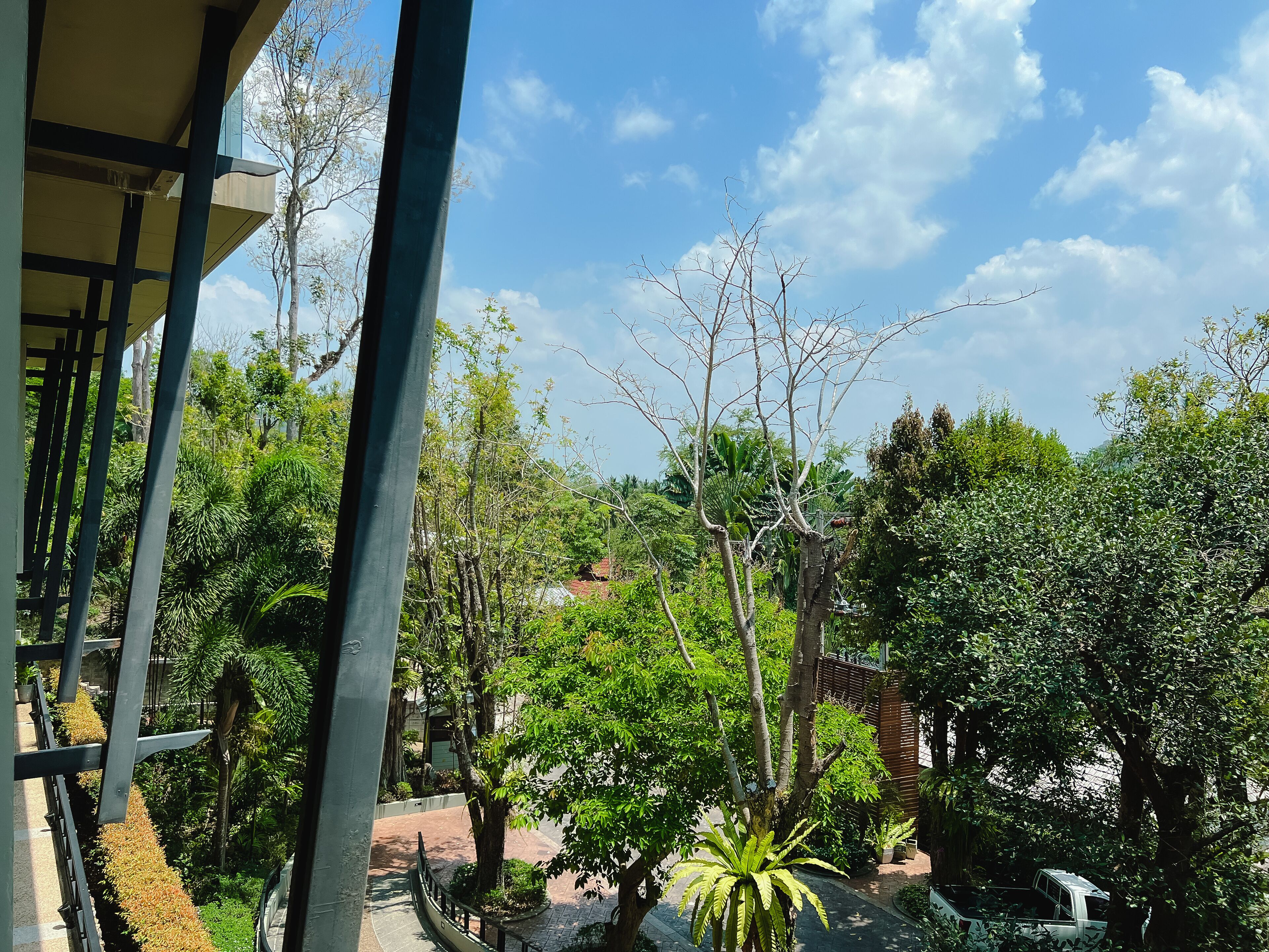 deluxe mountain view | garden view