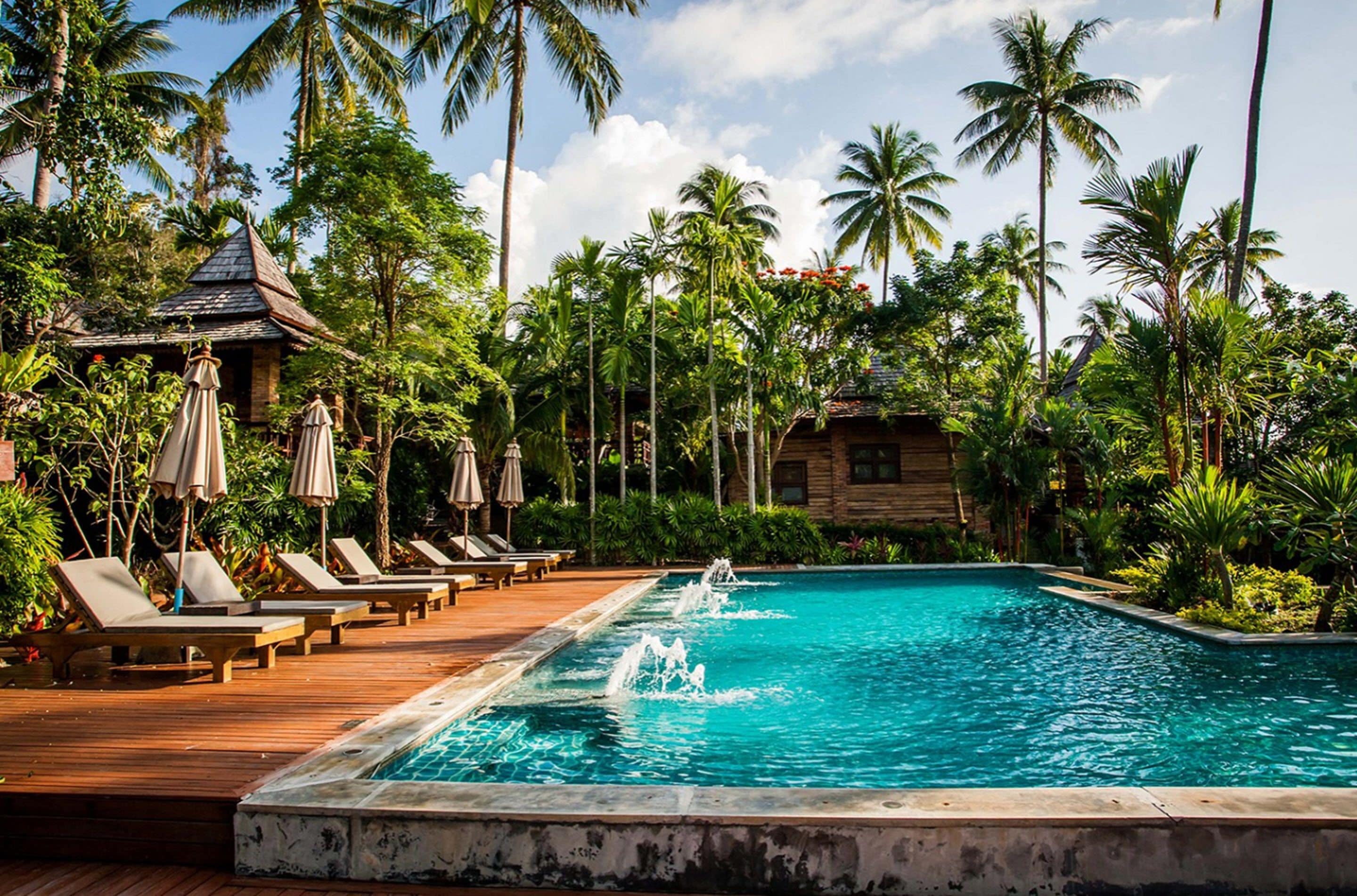 A pool area with lounge chairs and umbrellas, surrounded by palm trees and a wooden deck.