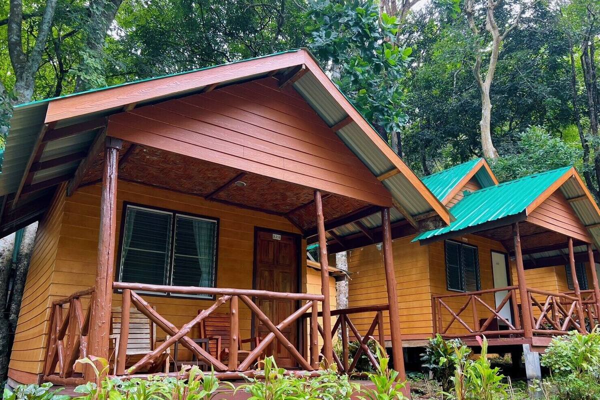 Dos cabañas de madera con un porche y techo verde, rodeadas de abundante vegetación.