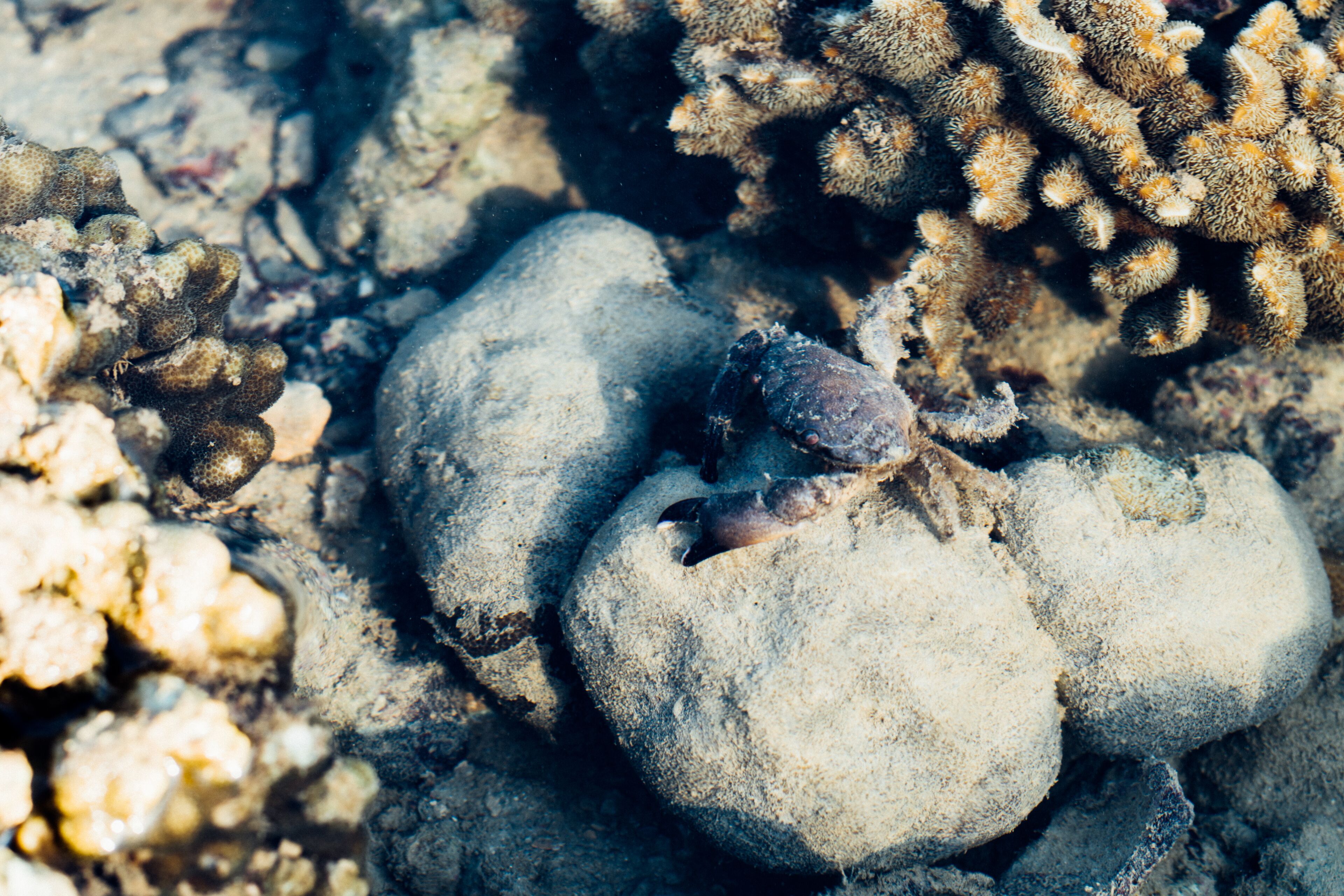 Photo - Railay Garden View Resort