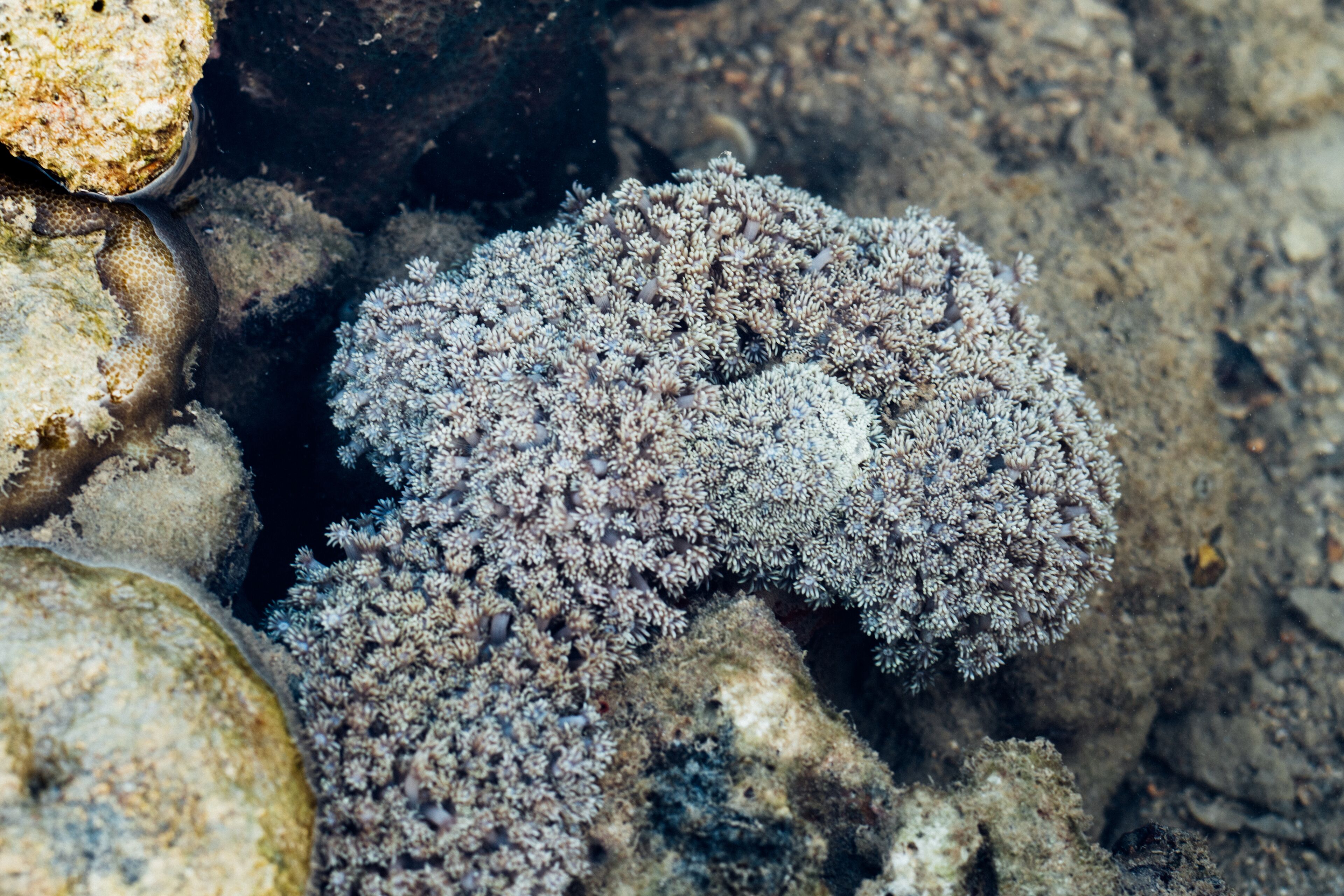 Photo - Railay Garden View Resort