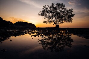 Ubicación a pie de playa