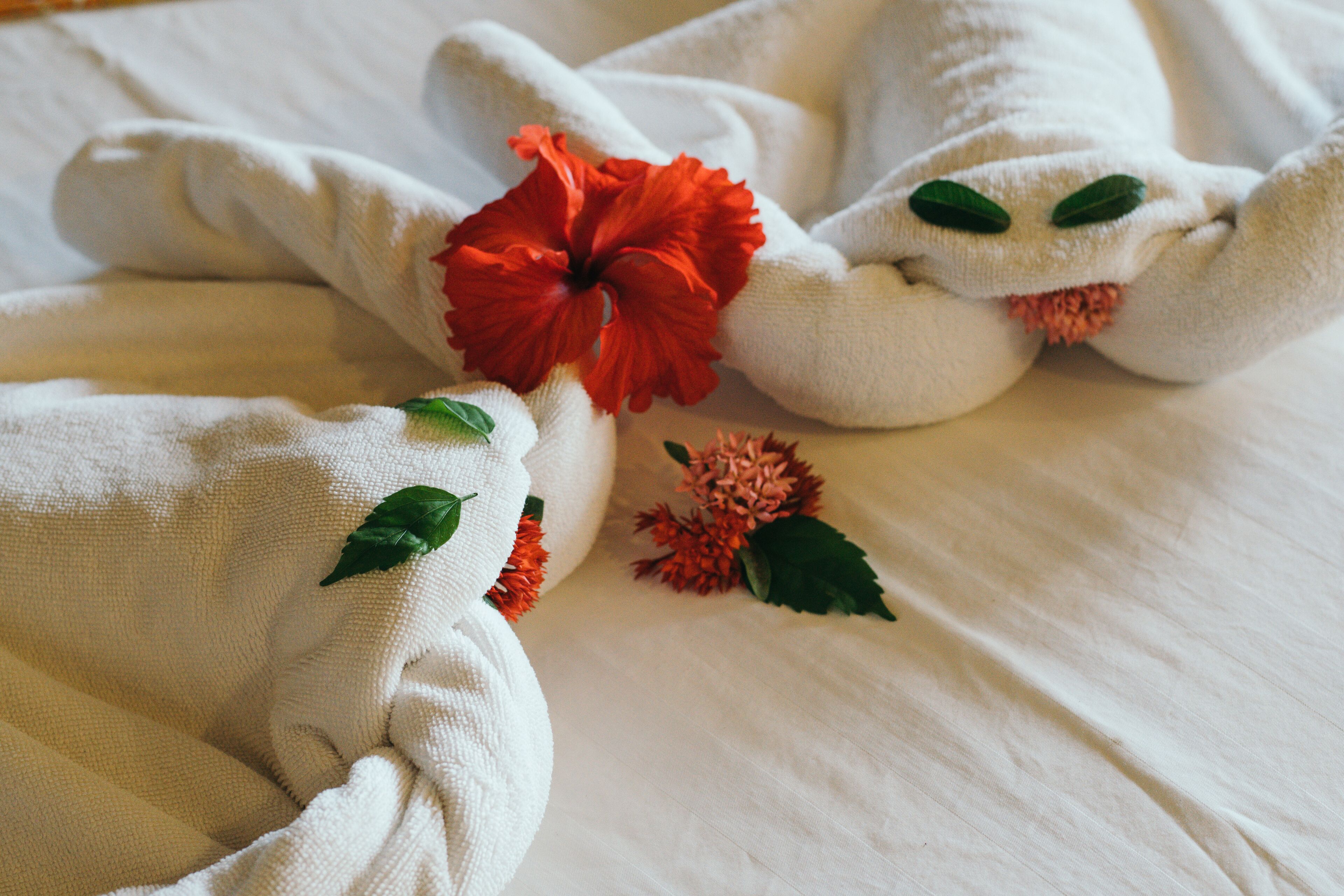 Photo - Railay Garden View Resort