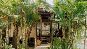 A wooden deck leading to a wooden structure with a balcony, surrounded by lush greenery and a water body. - Ban Sainai Resort (Krabi)