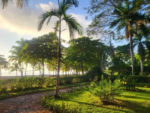 Plage, parasols, serviettes de plage, beach-volley