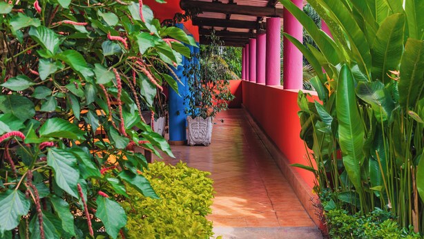 A covered pathway lined with lush greenery and vibrant red walls.