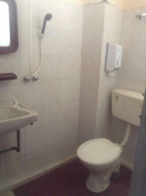 Shower, hair dryer
