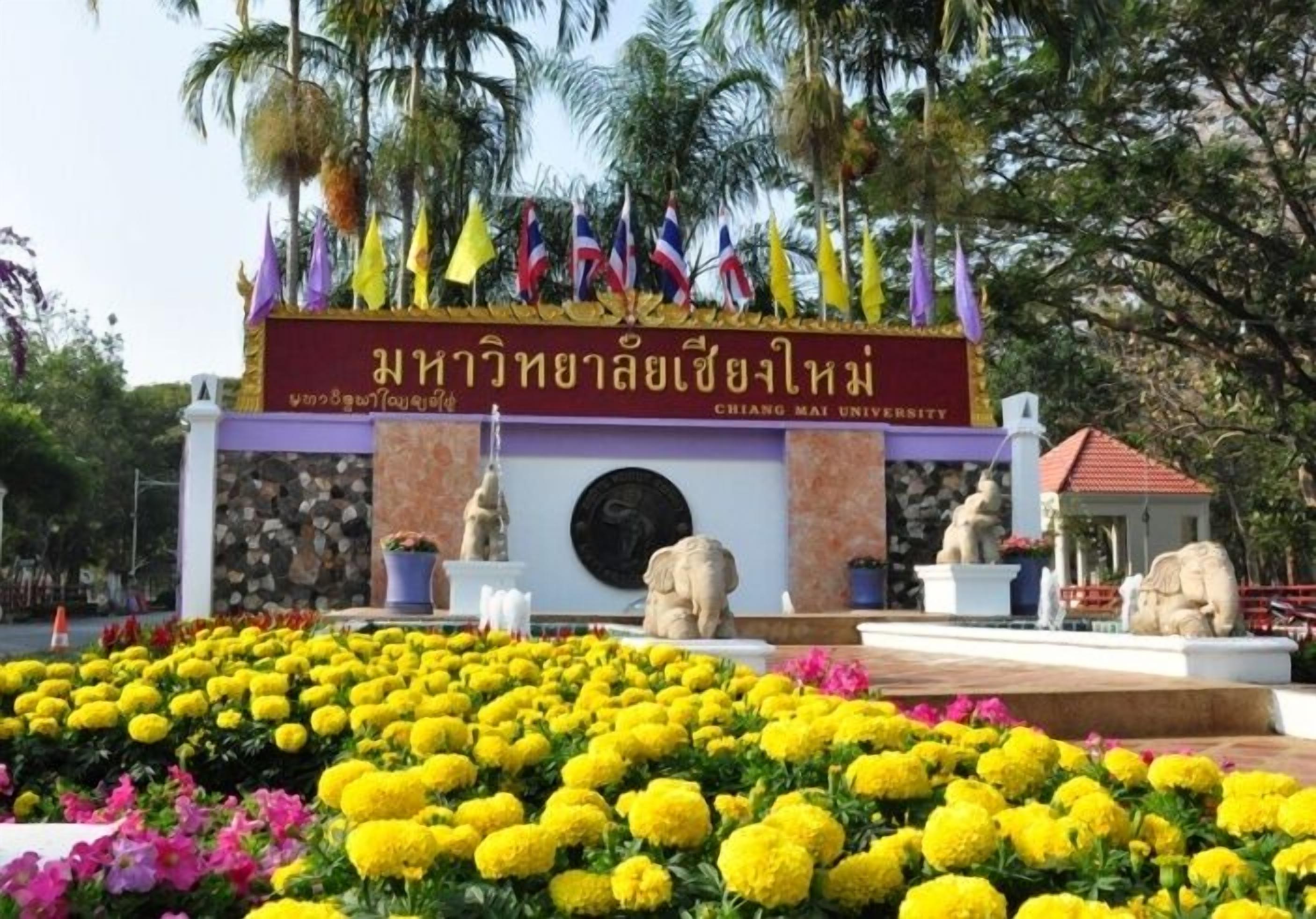 A university entrance with a stone facade, a central emblem, and a row of flags.