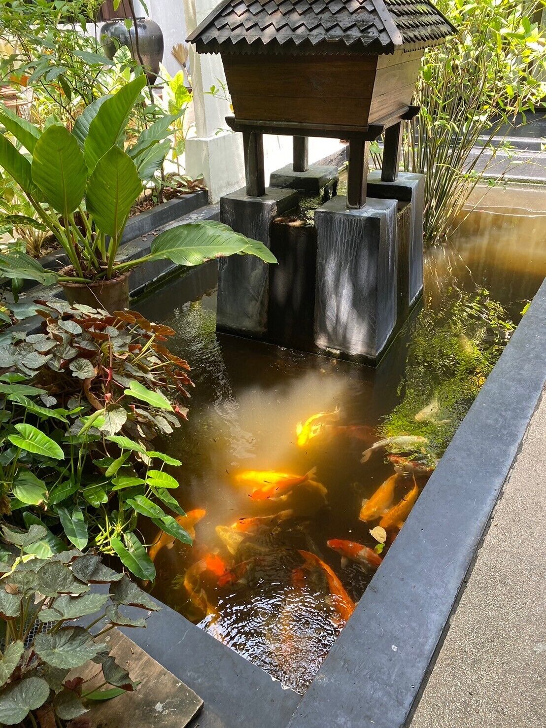 Photo - Yantarasri Resort