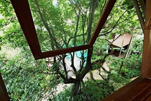 Deluxe King High Floor | View from room