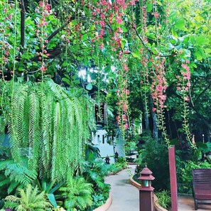 Garden - Yantarasri Resort (Chiang Mai)