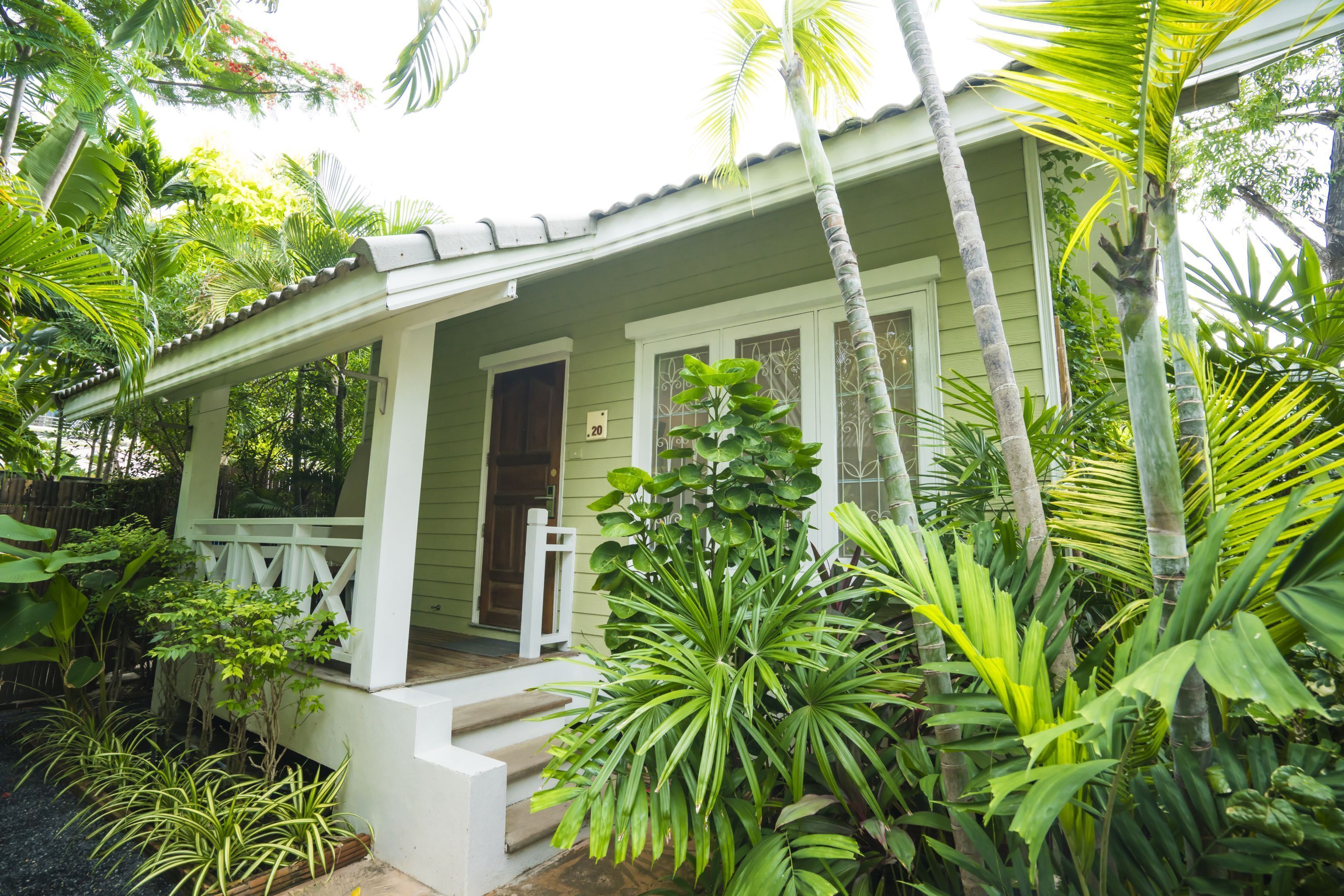 Une maison dotée d’un porche, entourée d’une végétation tropicale luxuriante.