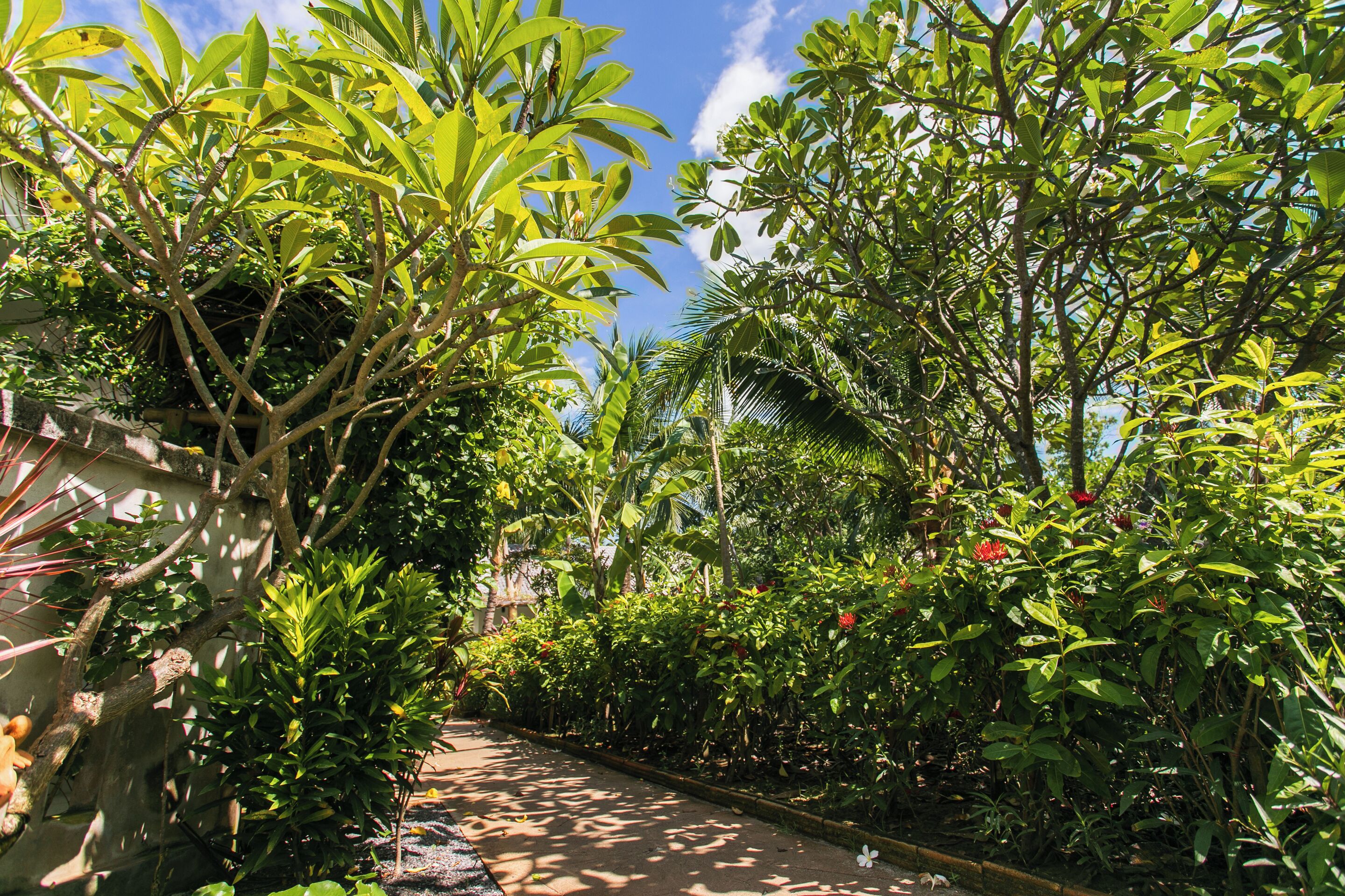 Foto - King's Garden Resort - SHA Plus