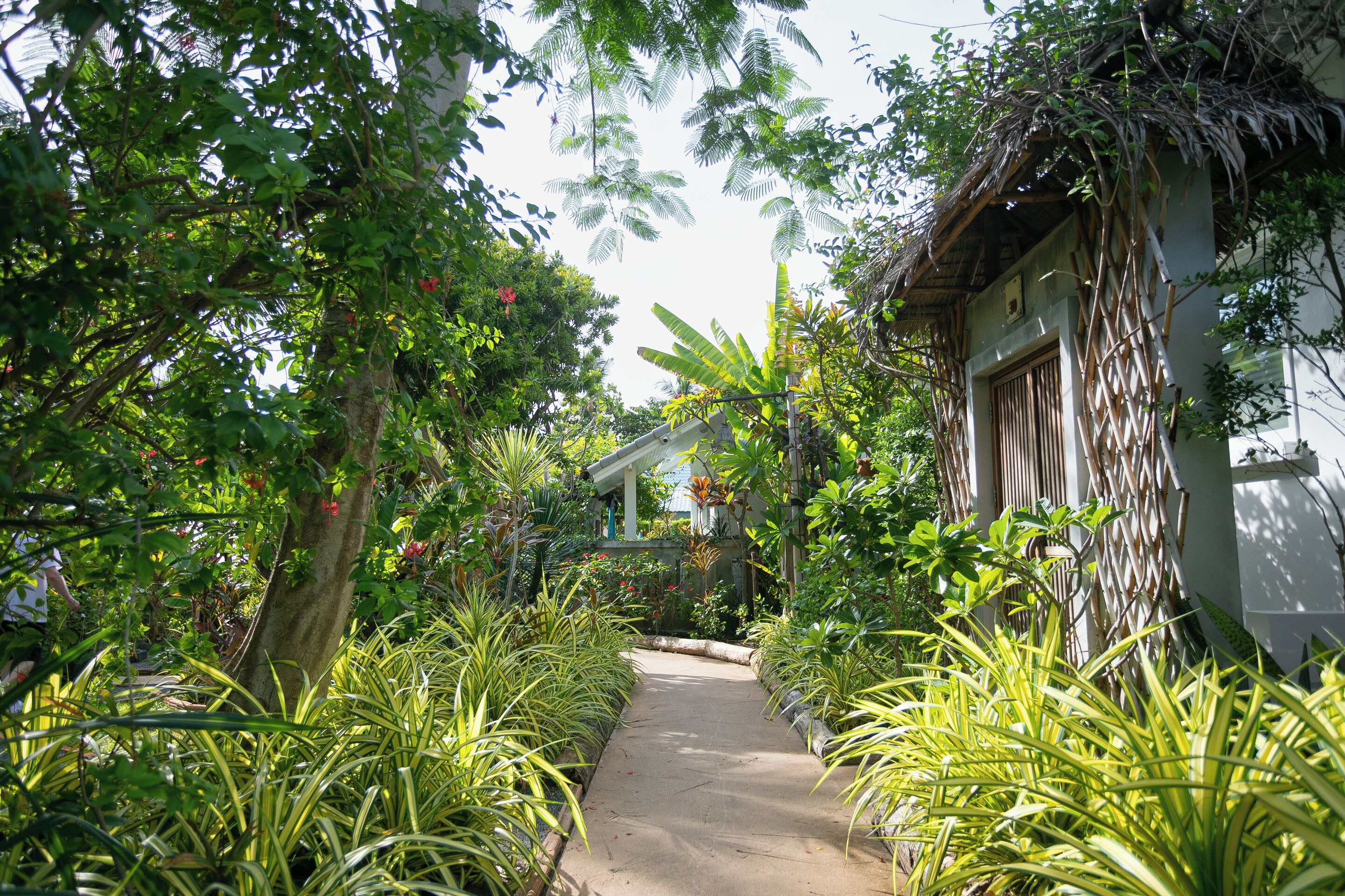 Giardino