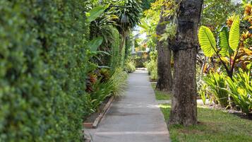 Un sentier bordé d’une végétation luxuriante et d’arbres, qui traverse un jardin.