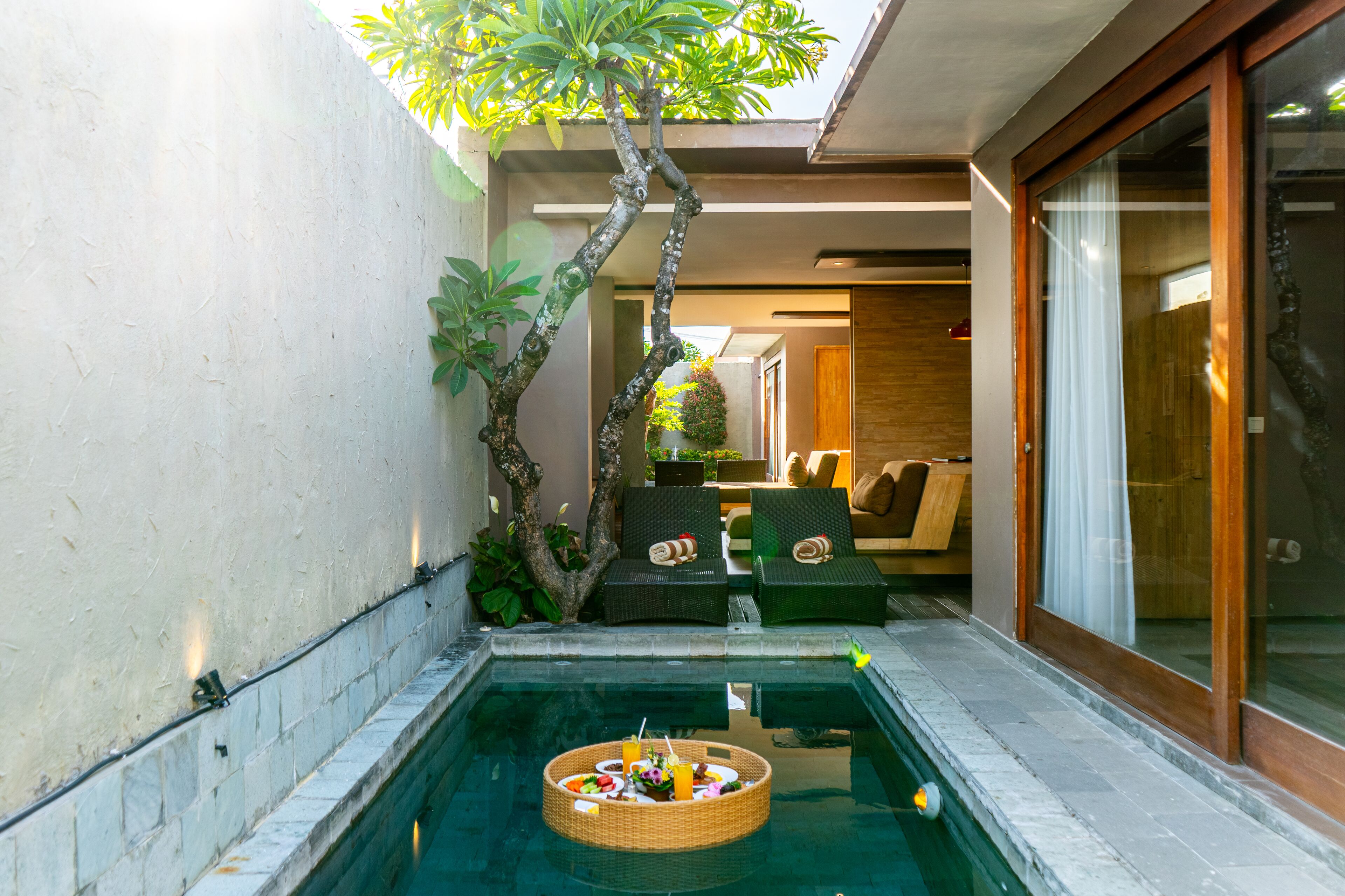A pool area with a floating basket of food, lounge chairs, and a tree.
