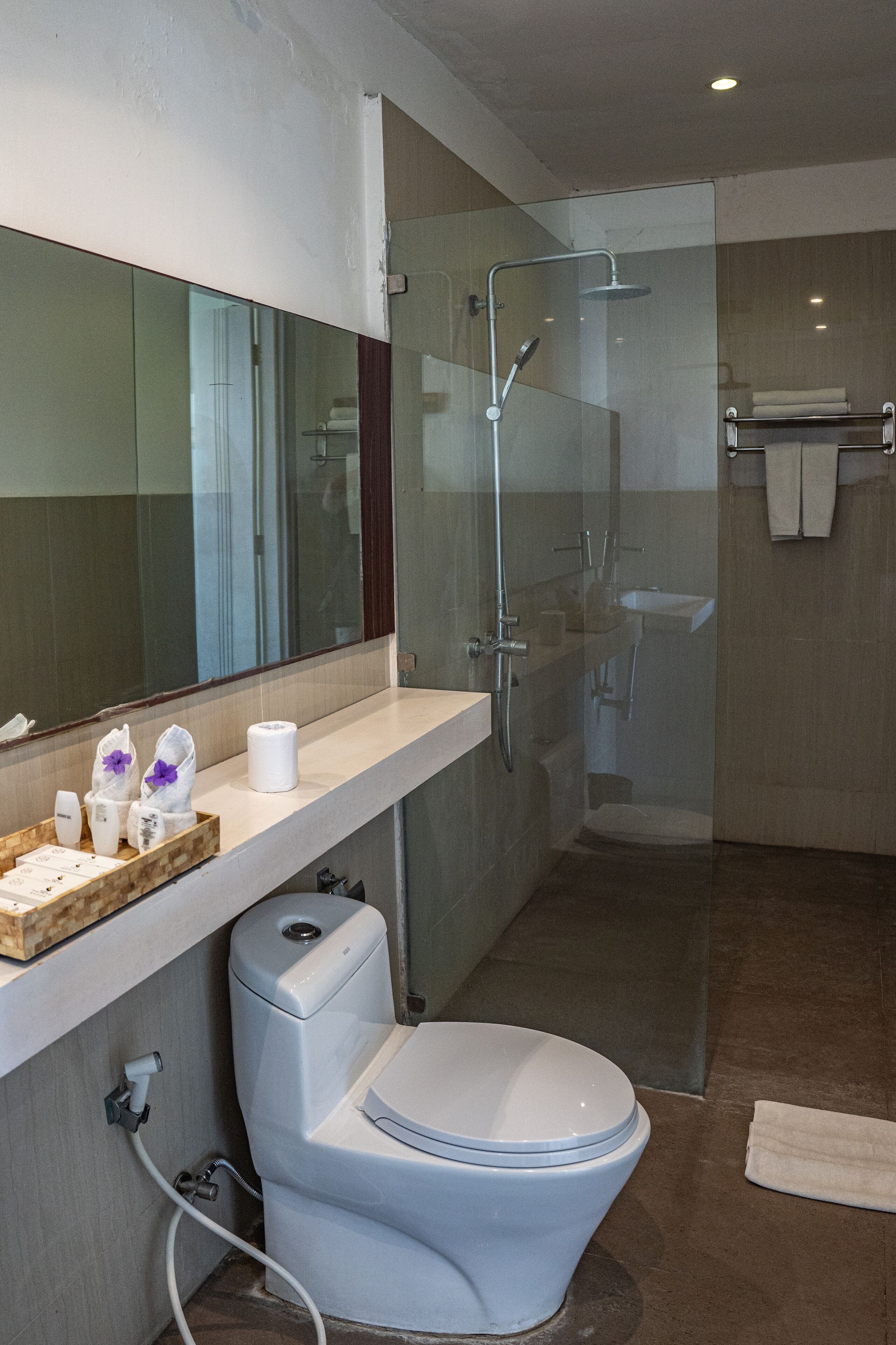 A modern bathroom with a glass-enclosed shower, a toilet, a sink, and a mirror above the sink.