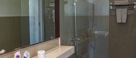 A modern bathroom with a glass-enclosed shower, a toilet, a sink, and a mirror above the sink.