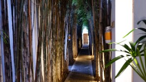 Un pasillo bordeado por altas plantas de bambú, que conduce a una puerta al final.