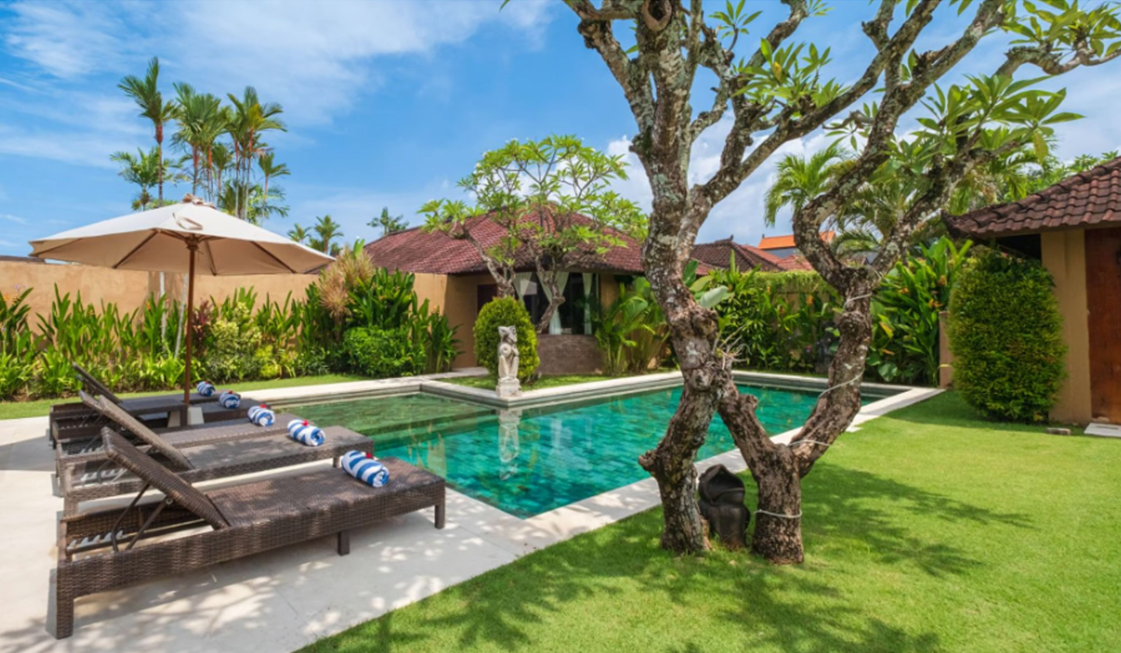 A swimming pool with lounge chairs and a tree in the foreground.