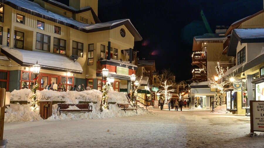 Vantage Point Villas at Stratton Mountain Resort