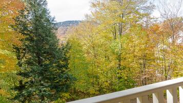 Condo, 2 Bedrooms | View from room