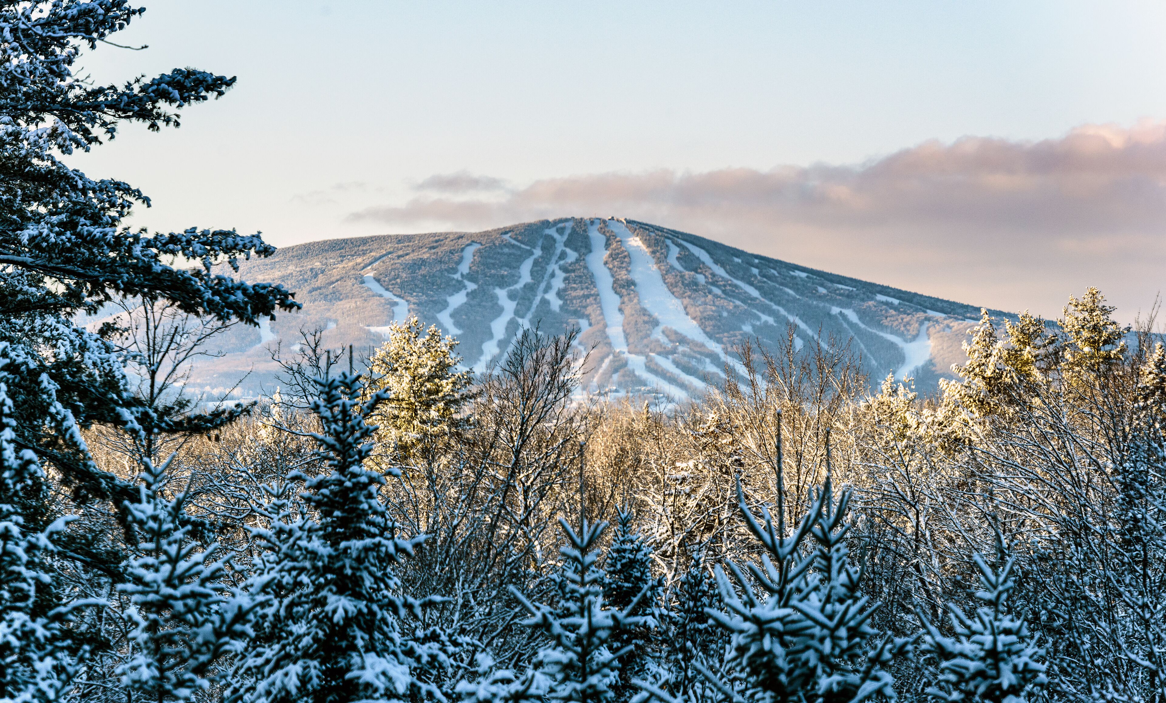 A snow-covered mountain with ski tracks, surrounded by dense forest.