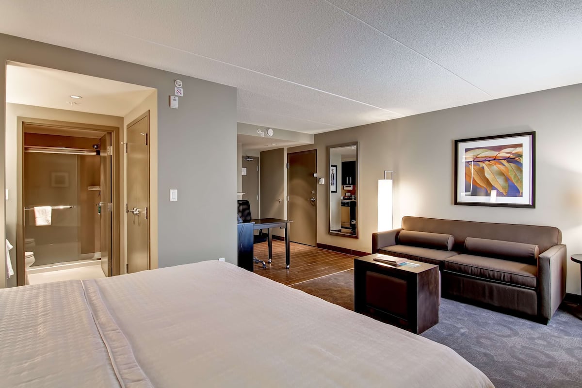 Studio Suite, 1 King Bed | Living area | Flat-screen TV, pay movies