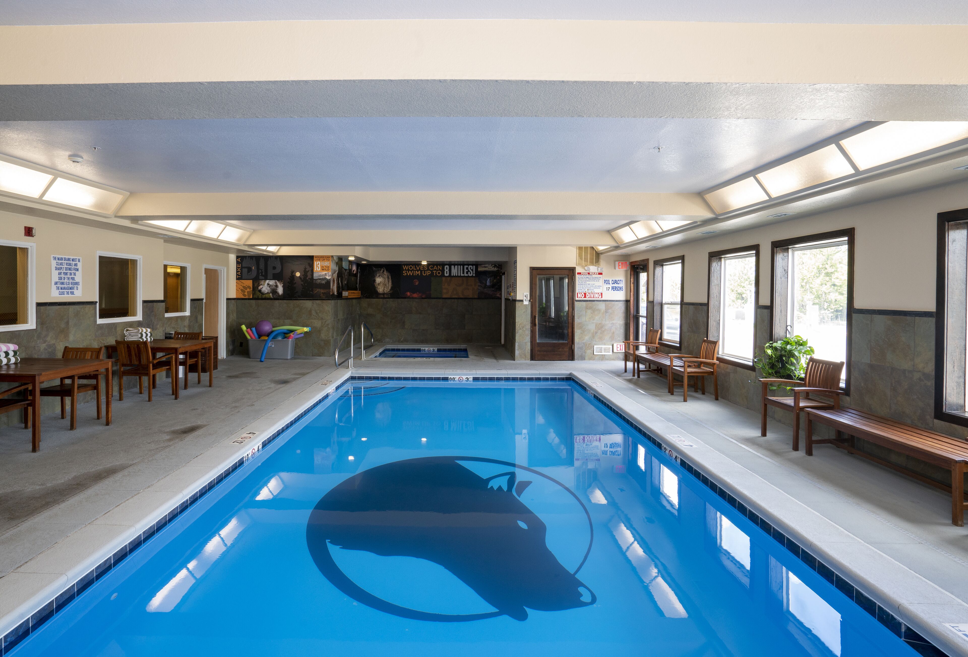 Indoor pool, sun loungers