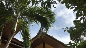 A building with a balcony, a staircase, and a palm tree. - Sunrise Bungalow (Koh Samui)