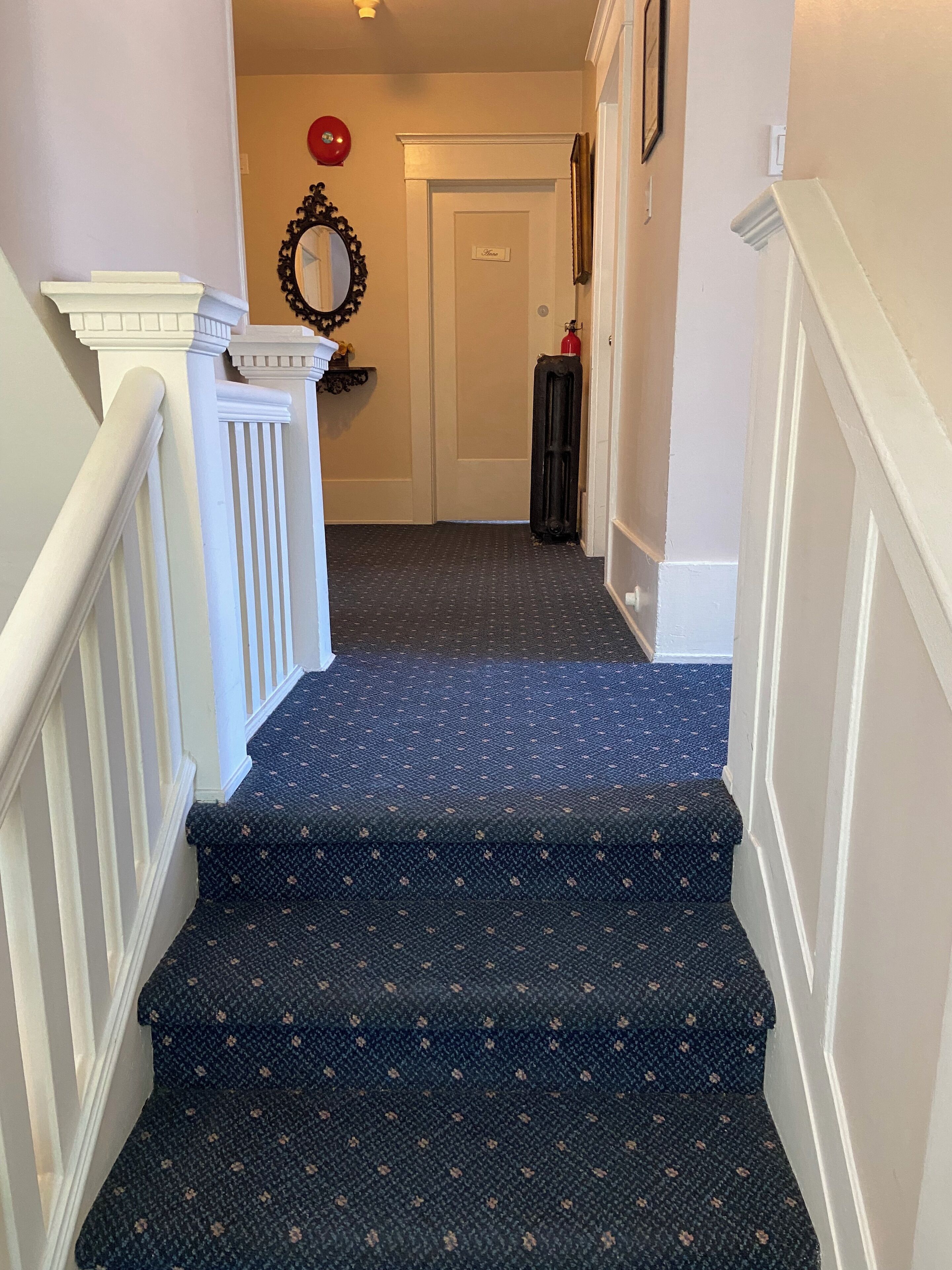 A staircase with a patterned carpet leading to a door.