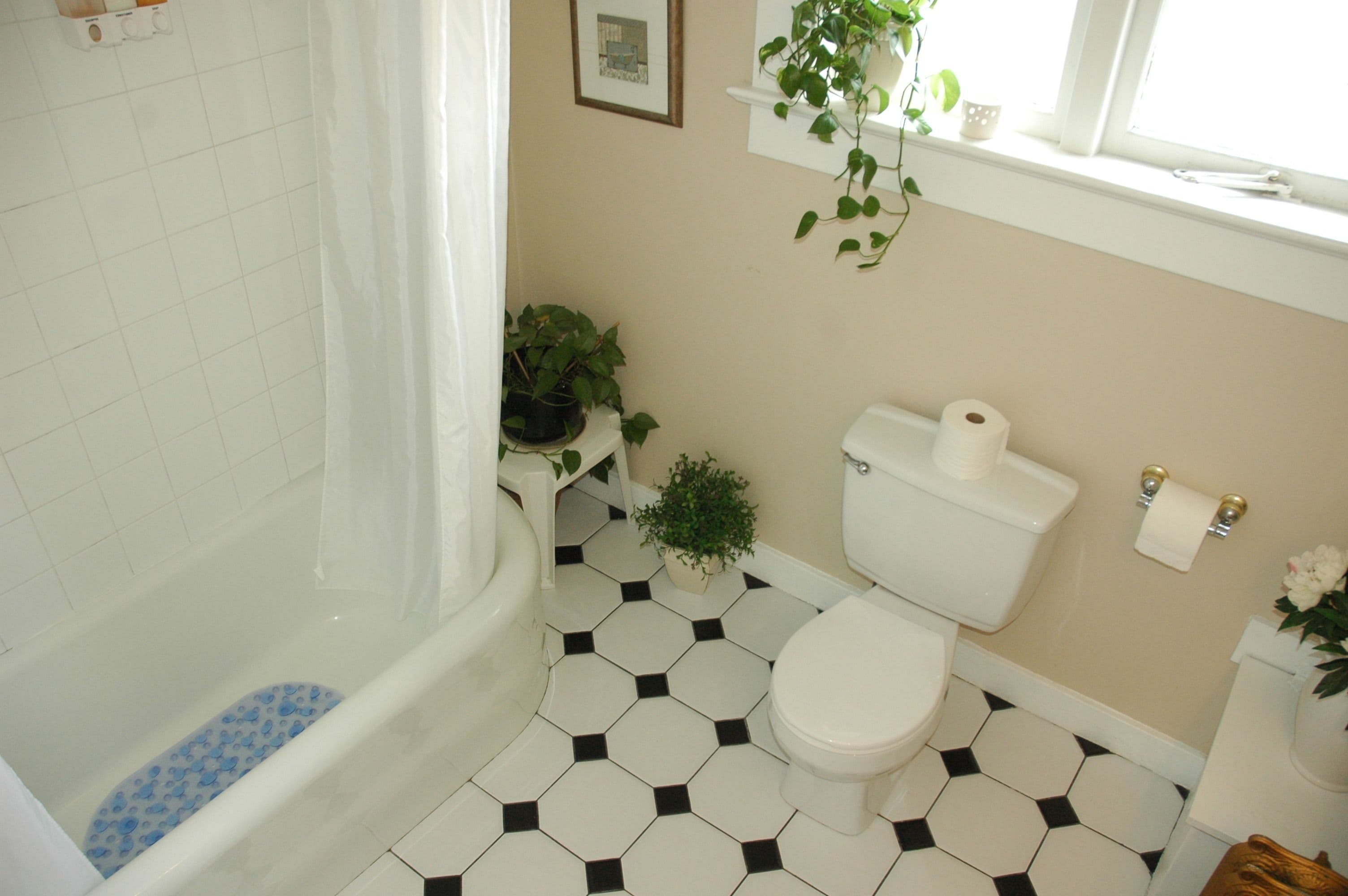 Foto - Windsor Guest House