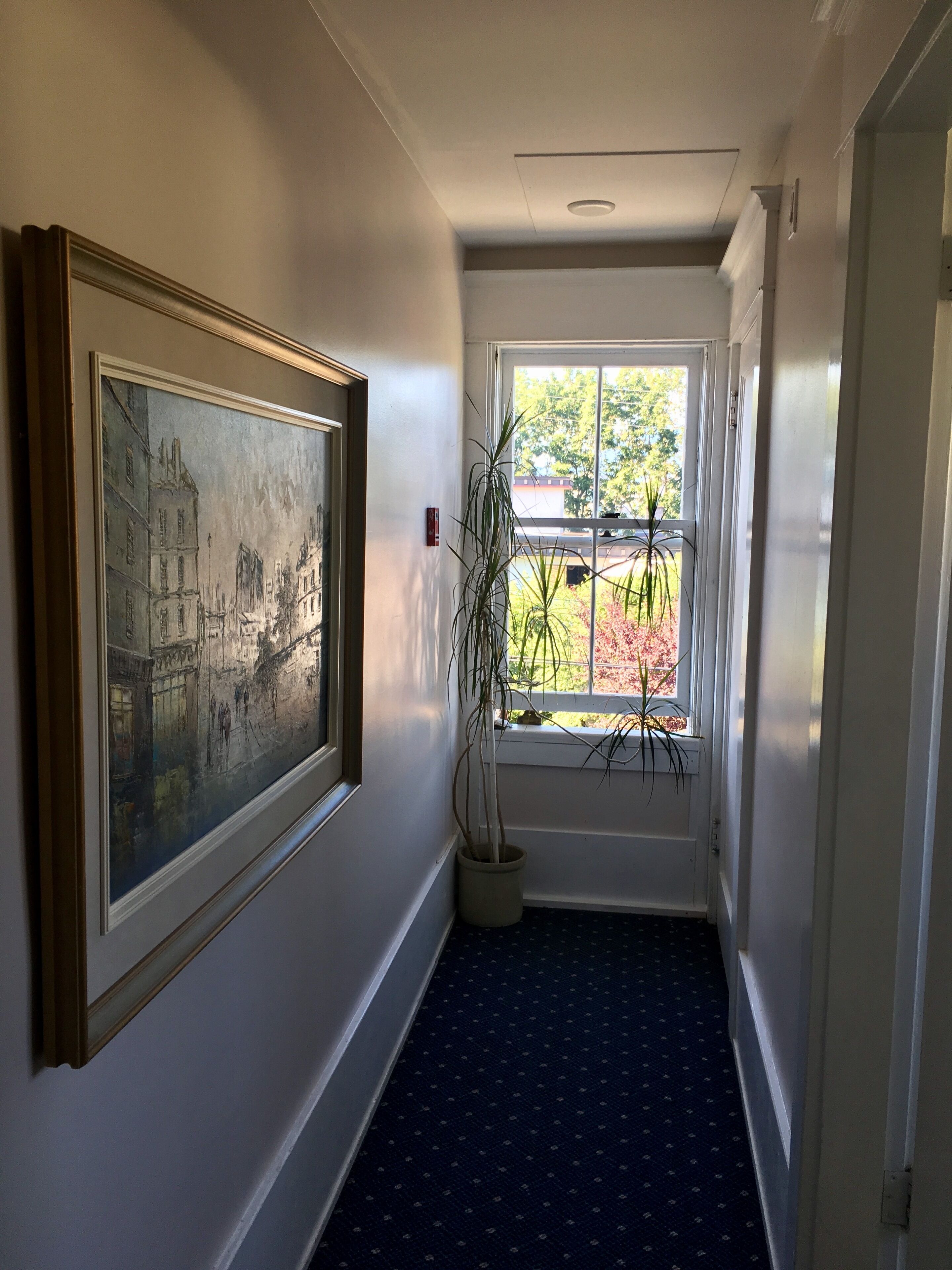 Foto - Windsor Guest House