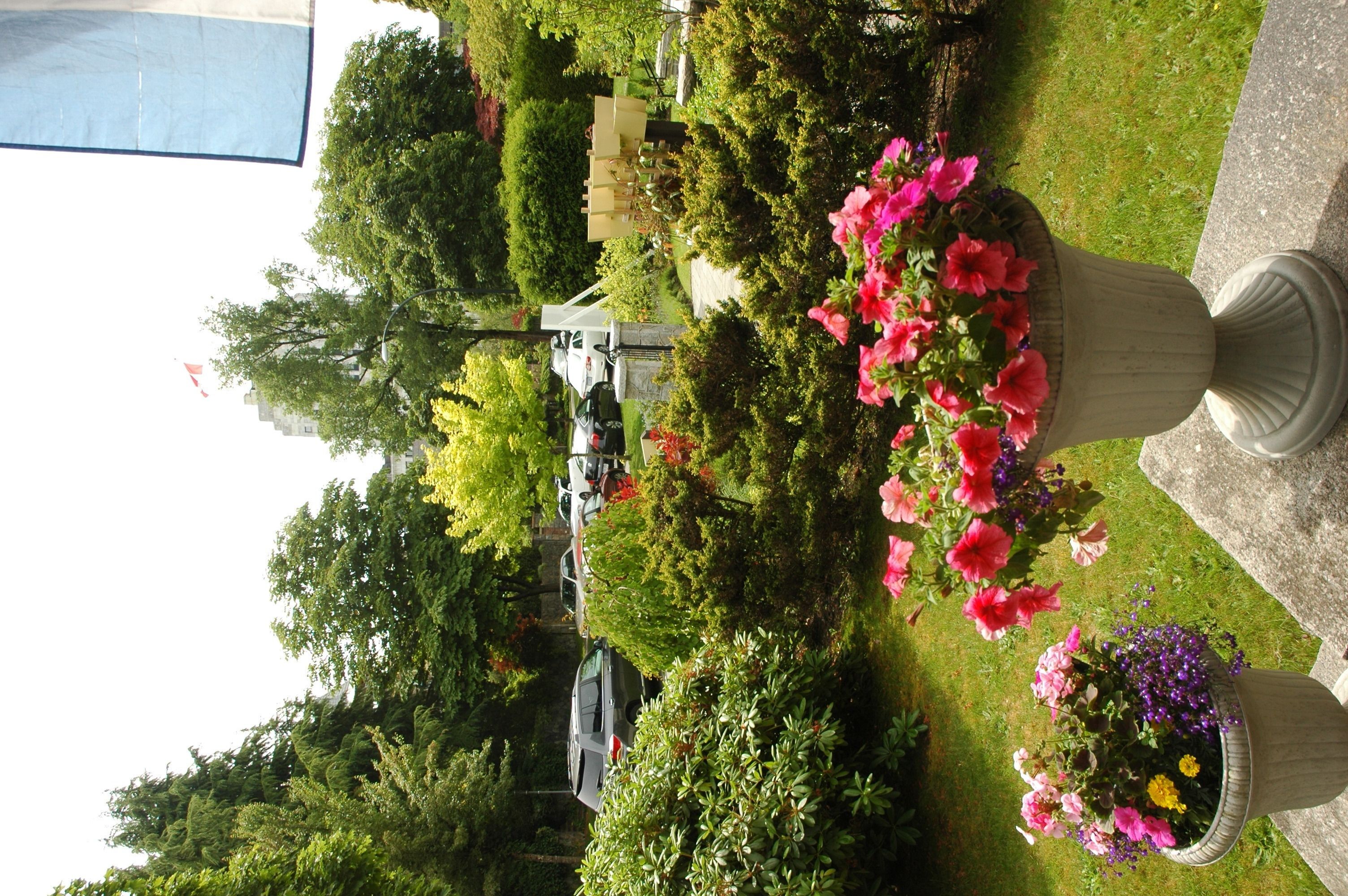 Foto - Windsor Guest House