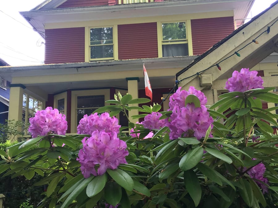 Detalle del exterior