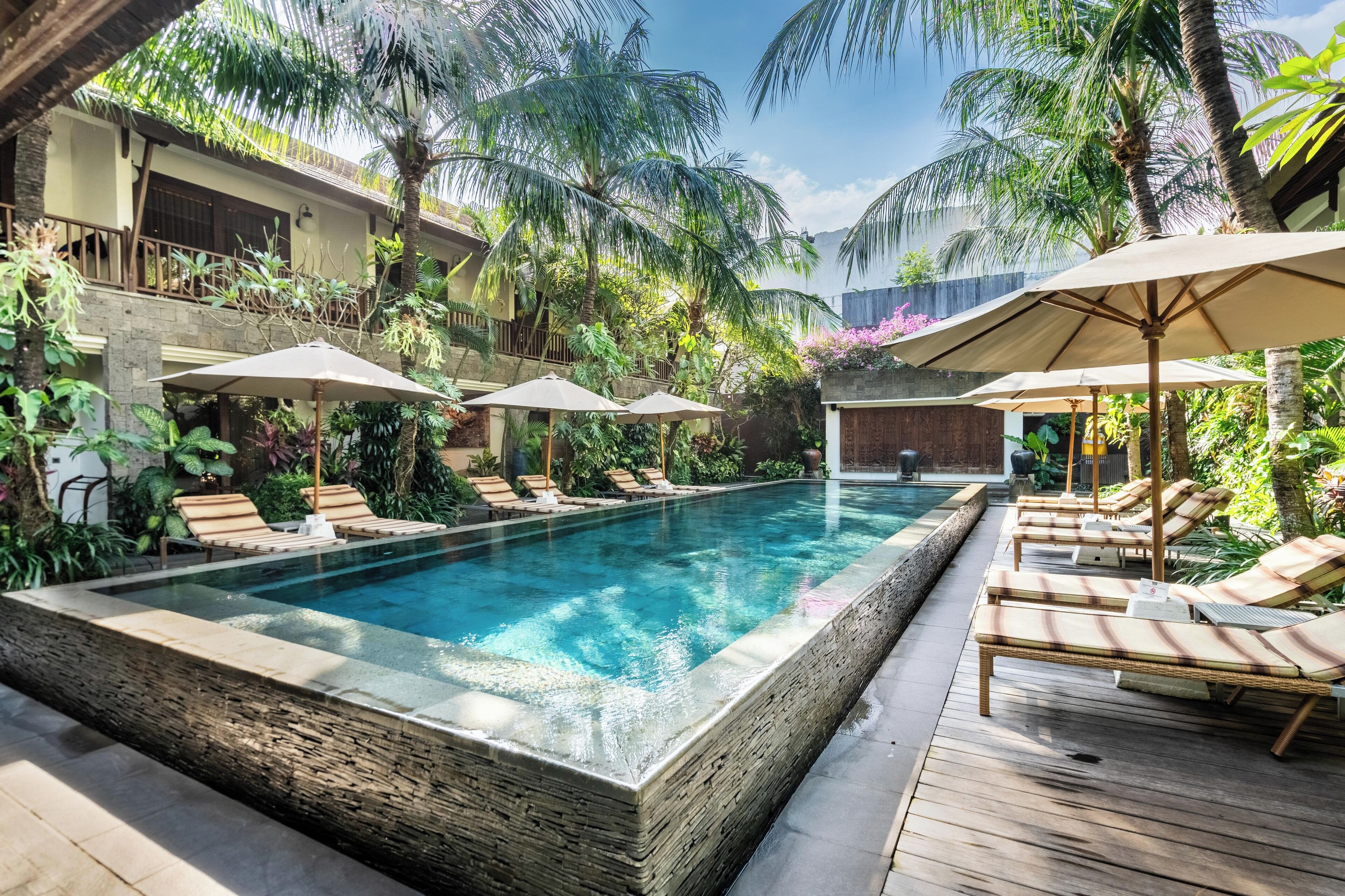 A rectangular pool with lounge chairs and umbrellas, surrounded by lush greenery and palm trees.