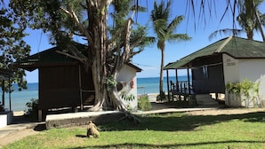 A beachfront property with a large tree, a small building, and a covered area with a view of the sea. - Samui Harmony Resort (Koh Samui)