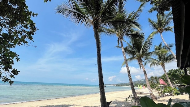 A beach with palm trees and a clear sky. - Samui Harmony Resort (Koh Samui)