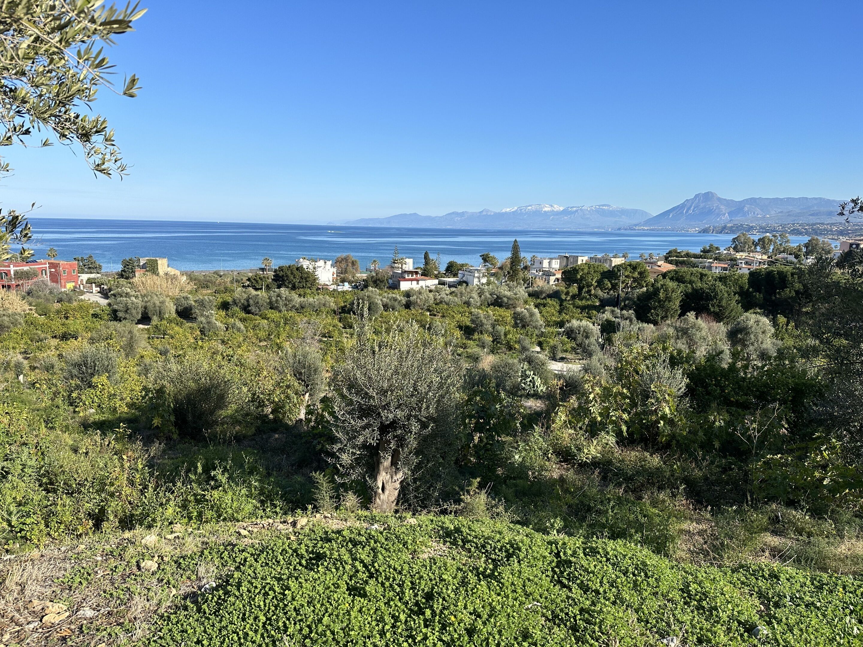 Landskab ved kysten med frodigt grønt, en klar blå himmel og udsigt til havet og fjerne bjerge.