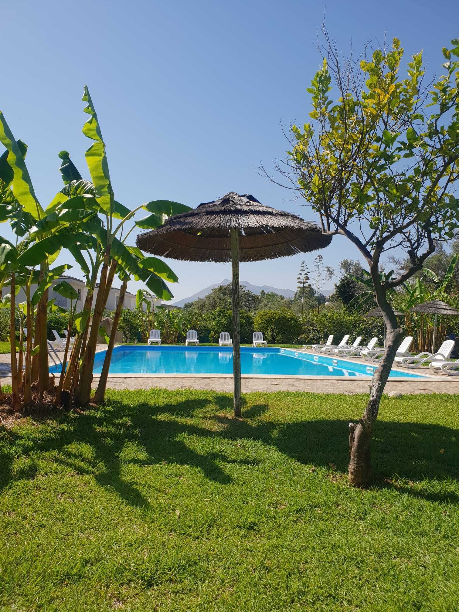 Outdoor pool, pool loungers