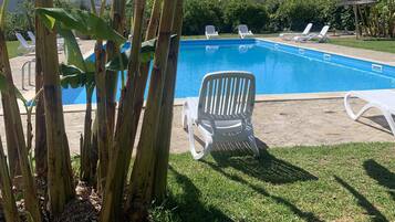 Outdoor pool, pool loungers