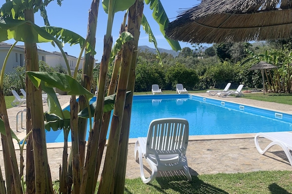 Outdoor pool, sun loungers