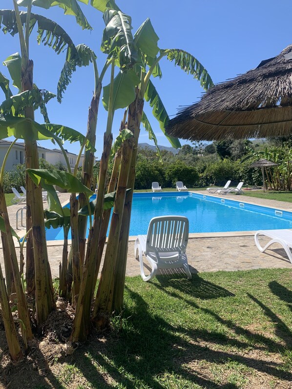 Outdoor pool, pool loungers