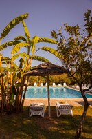 室外游泳池，日光浴躺椅