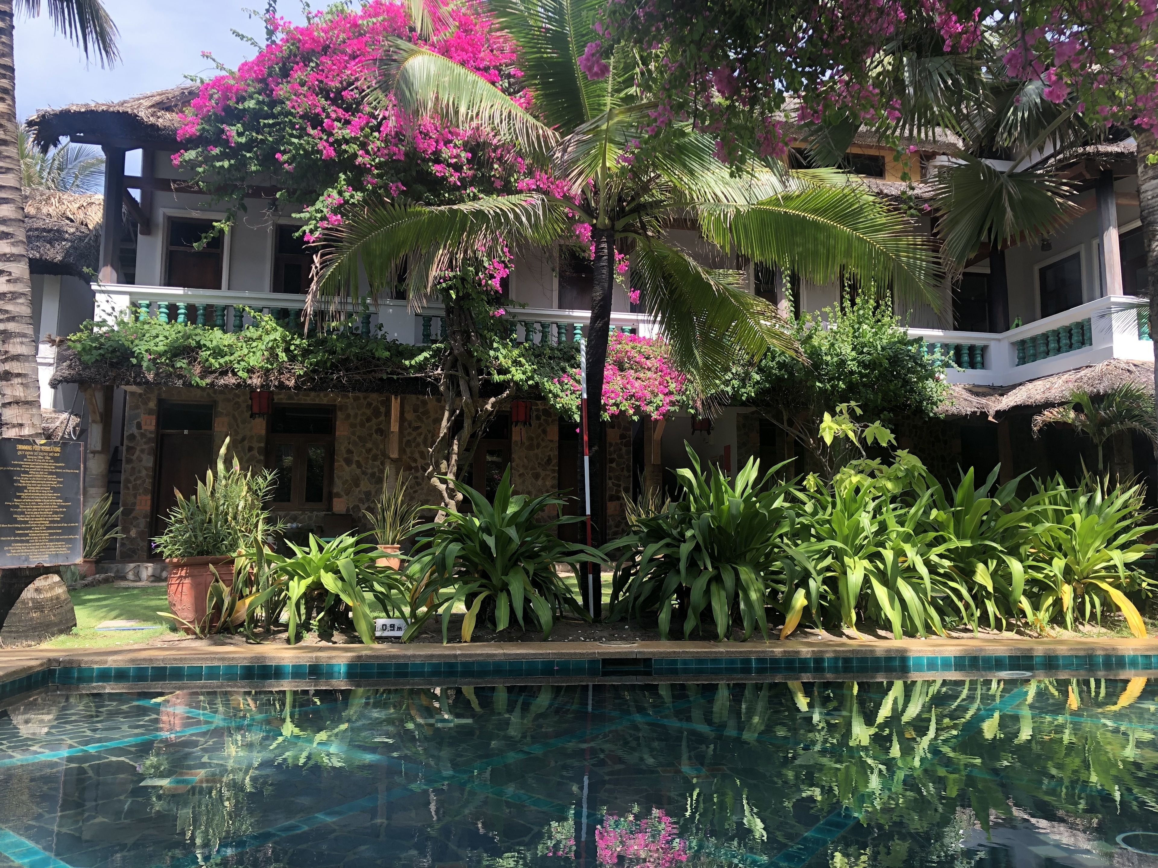 outdoor pool, pool loungers