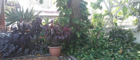 A wooden deck with potted plants and a white fence.