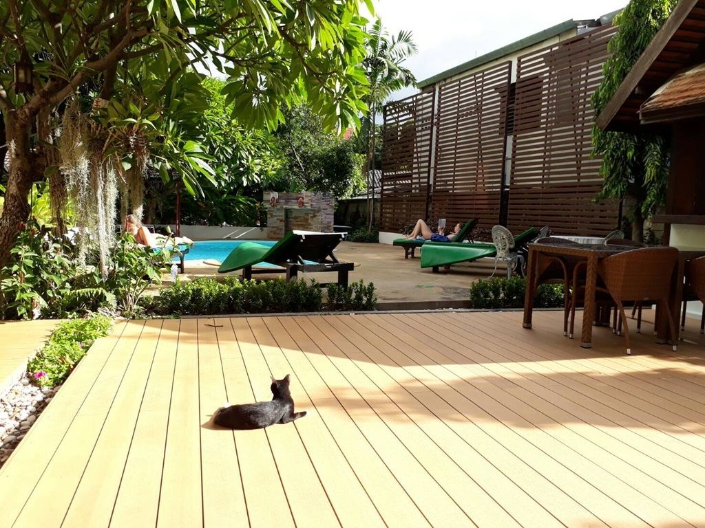 Outdoor pool, sun loungers