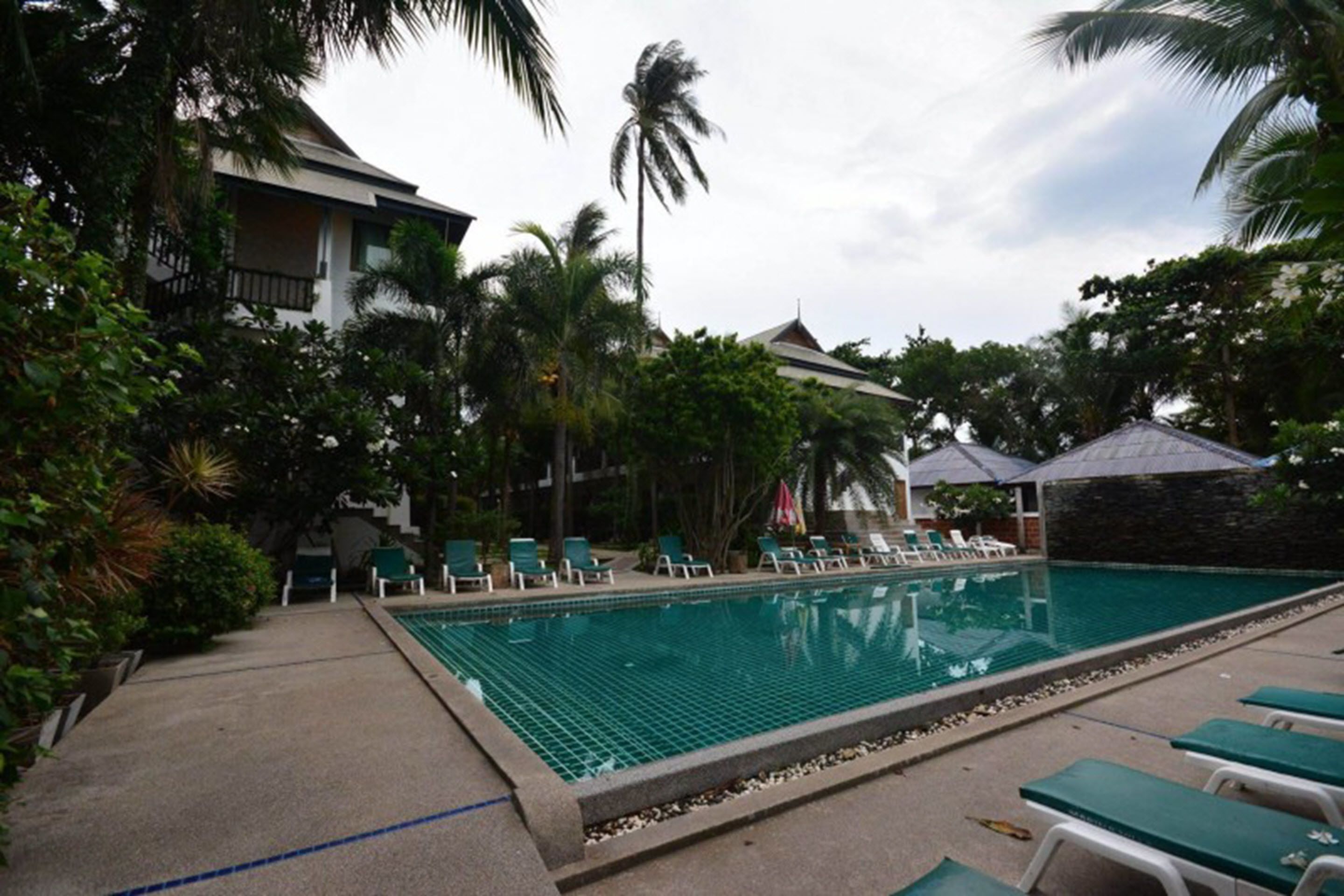 A swimming pool with lounge chairs and palm trees, surrounded by buildings.