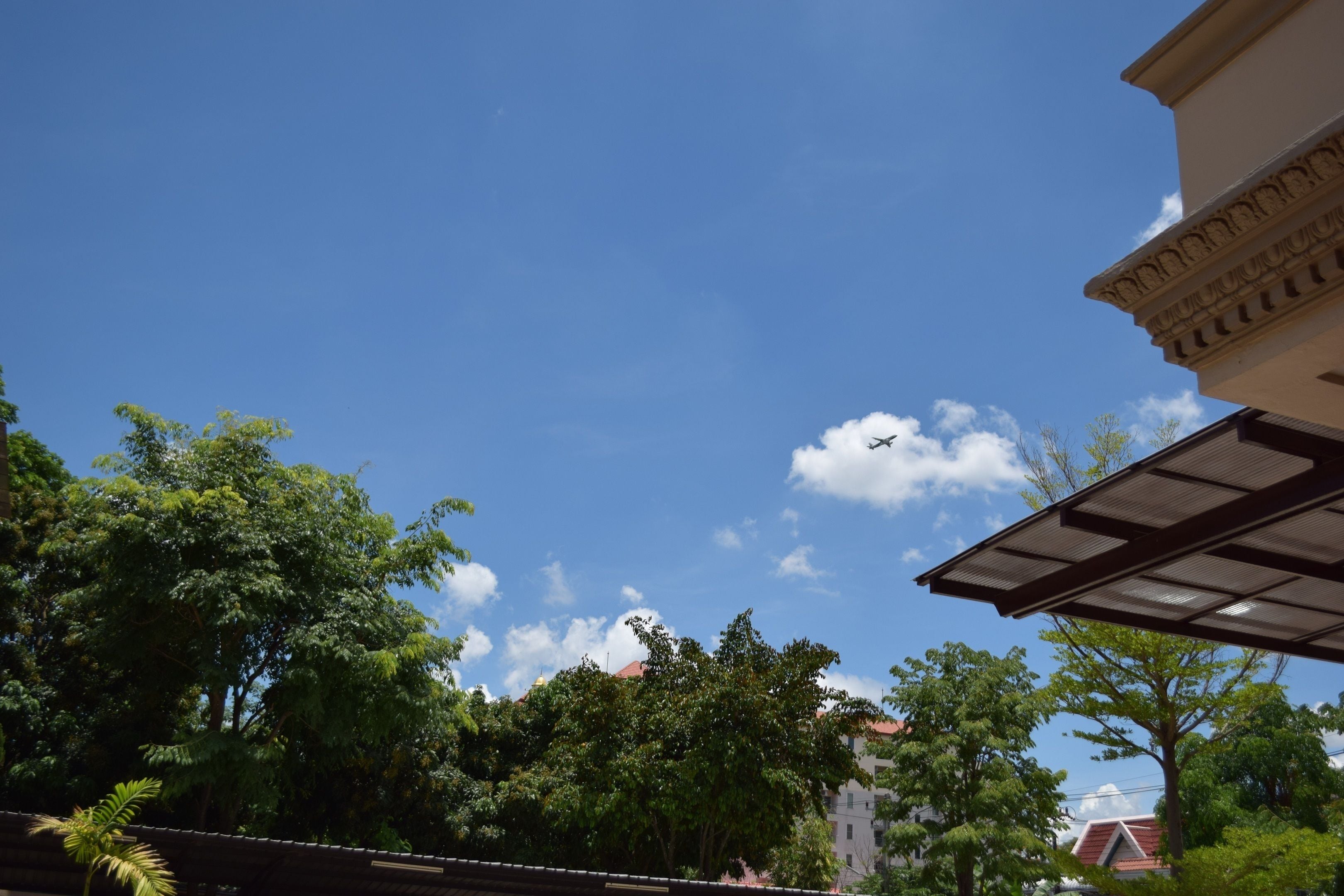 A clear sky with a plane flying, surrounded by lush green trees and a building with classical architecture.